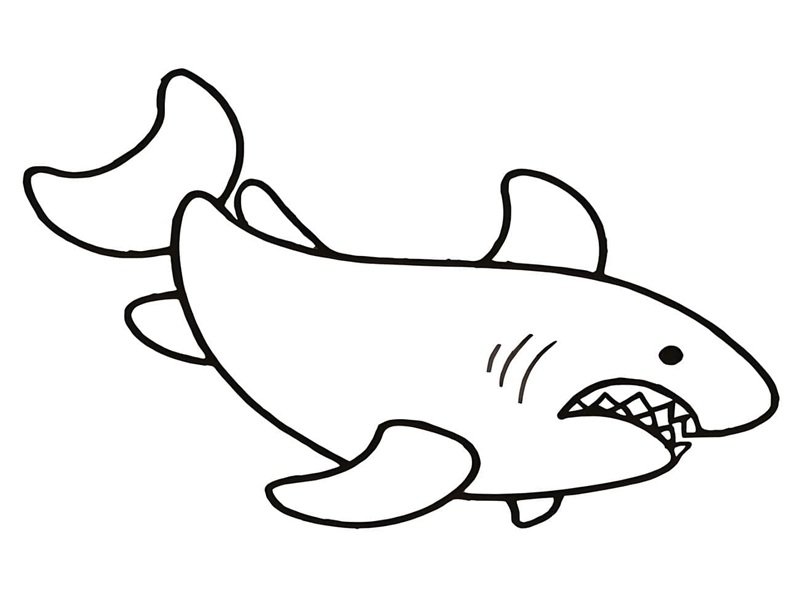 tô màu cá mập 18