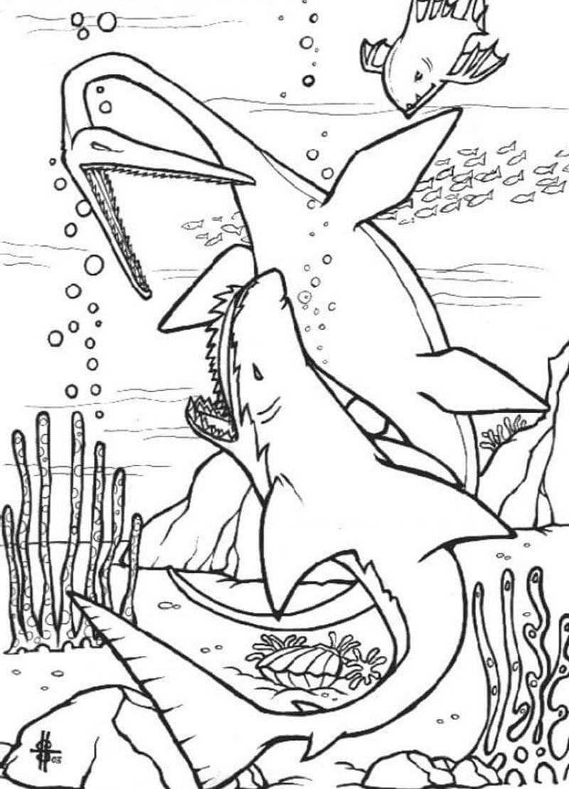 tô màu cá mập 26