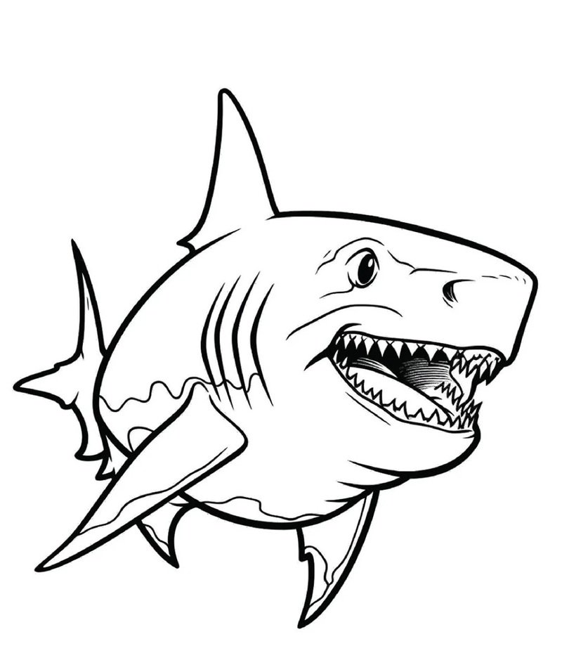 tô màu cá mập 30