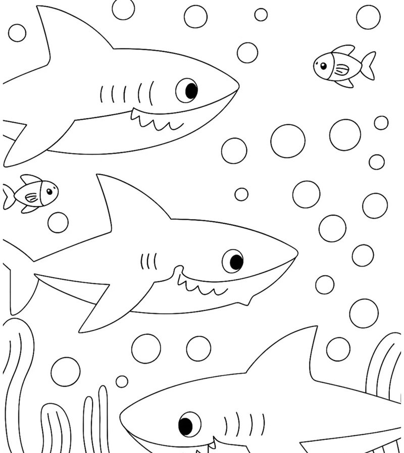 tô màu cá mập 40