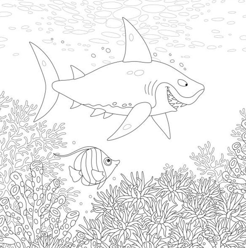 tô màu cá mập 8