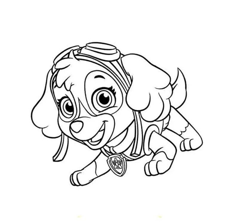 tô màu chó cứu hộ 2