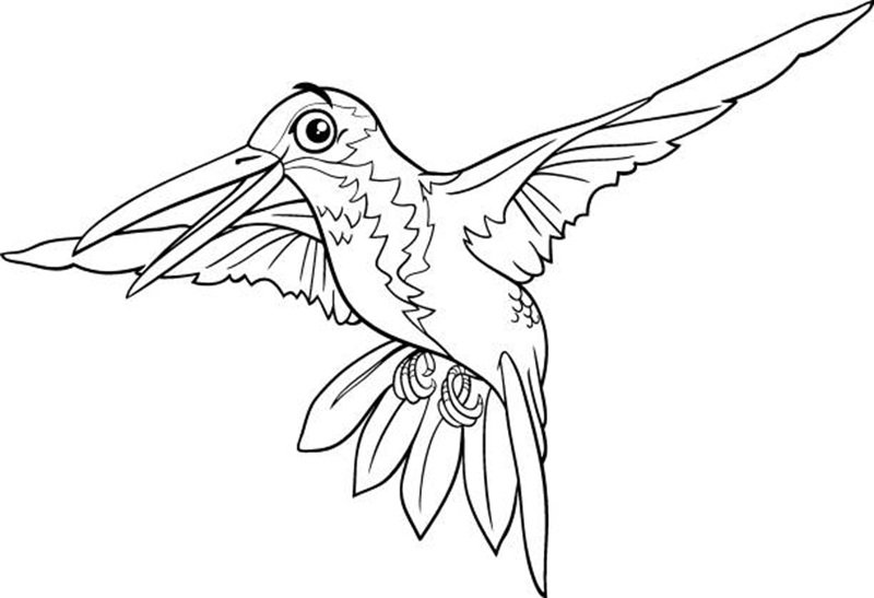 Cartoon illustration of funny hummingbird bird animal character coloring page