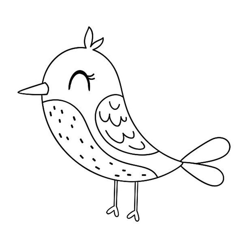 tô màu con chim 11