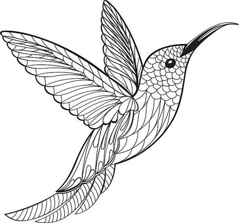 Coloring Page Hummingbird