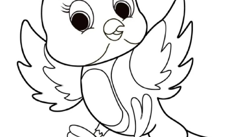 tô màu con chim 14