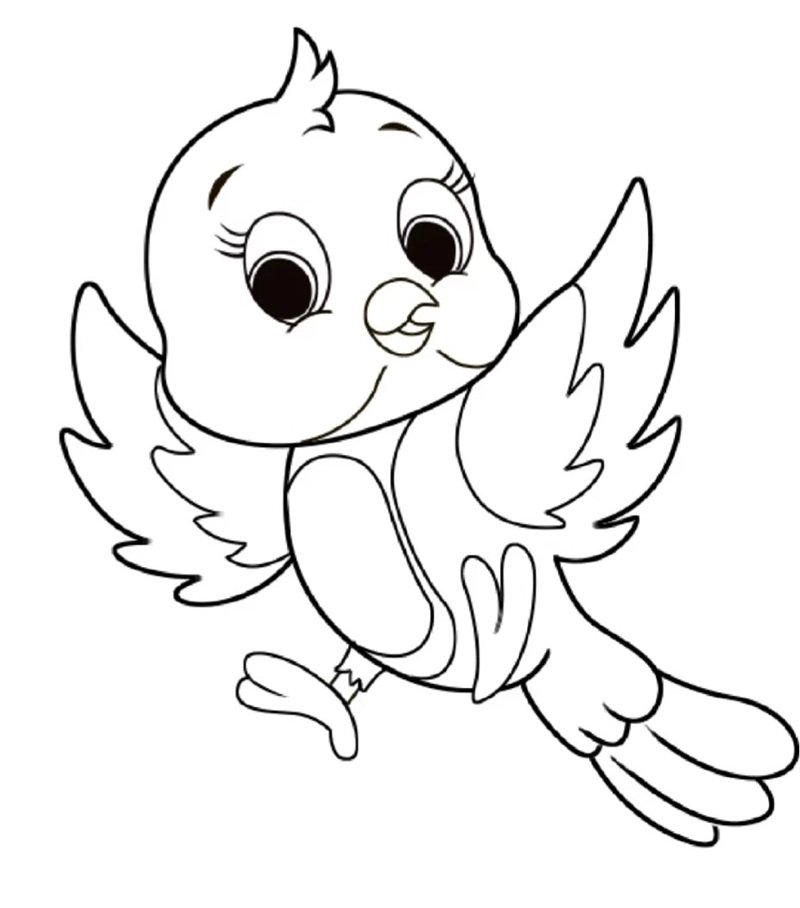 tô màu con chim 14