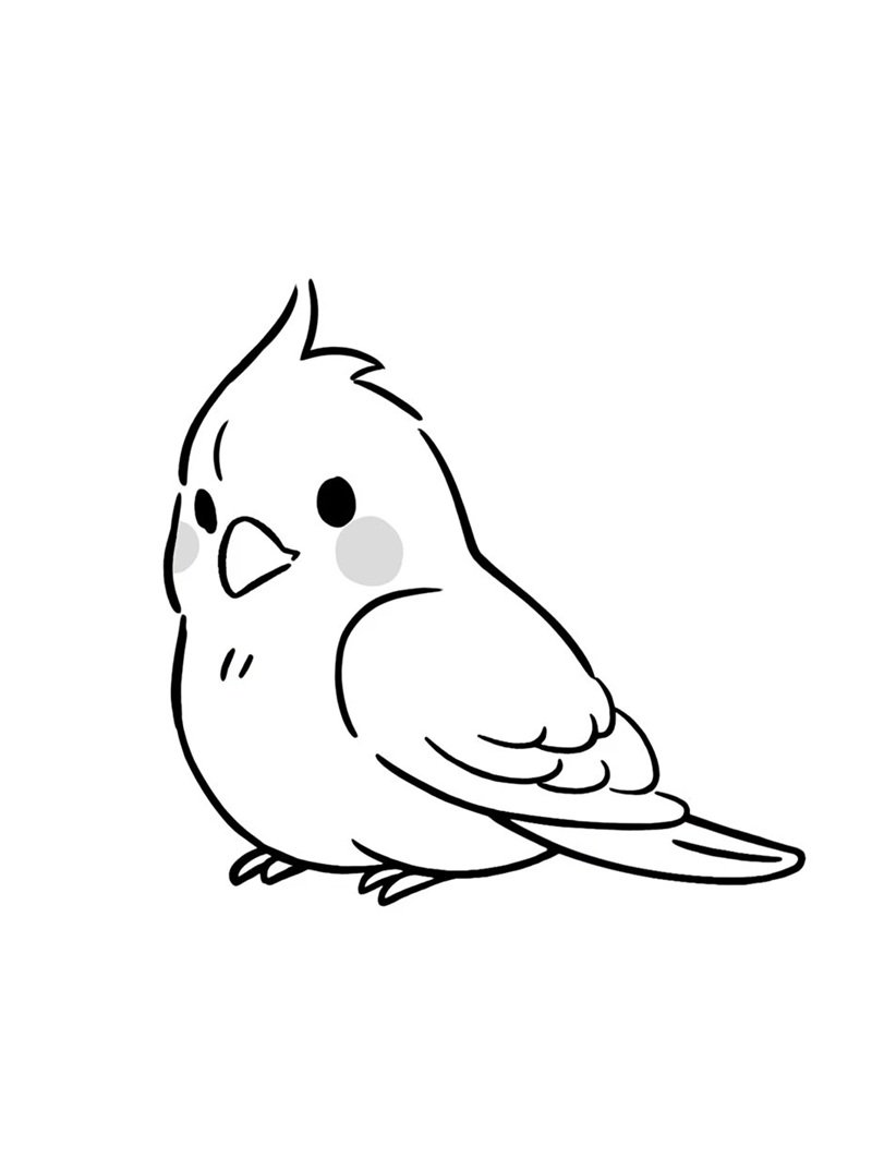tô màu con chim 16