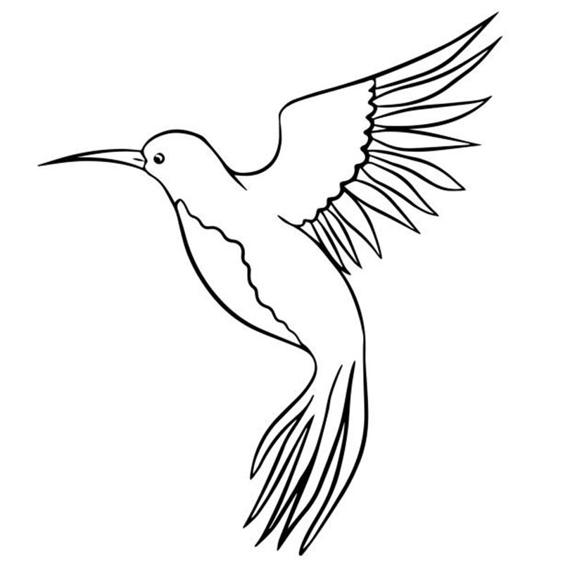 Linear vector drawing of flying hummingbird bird