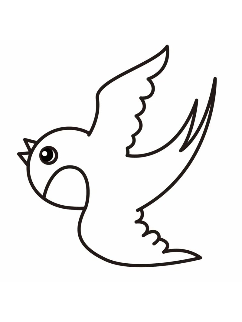 tô màu con chim 22