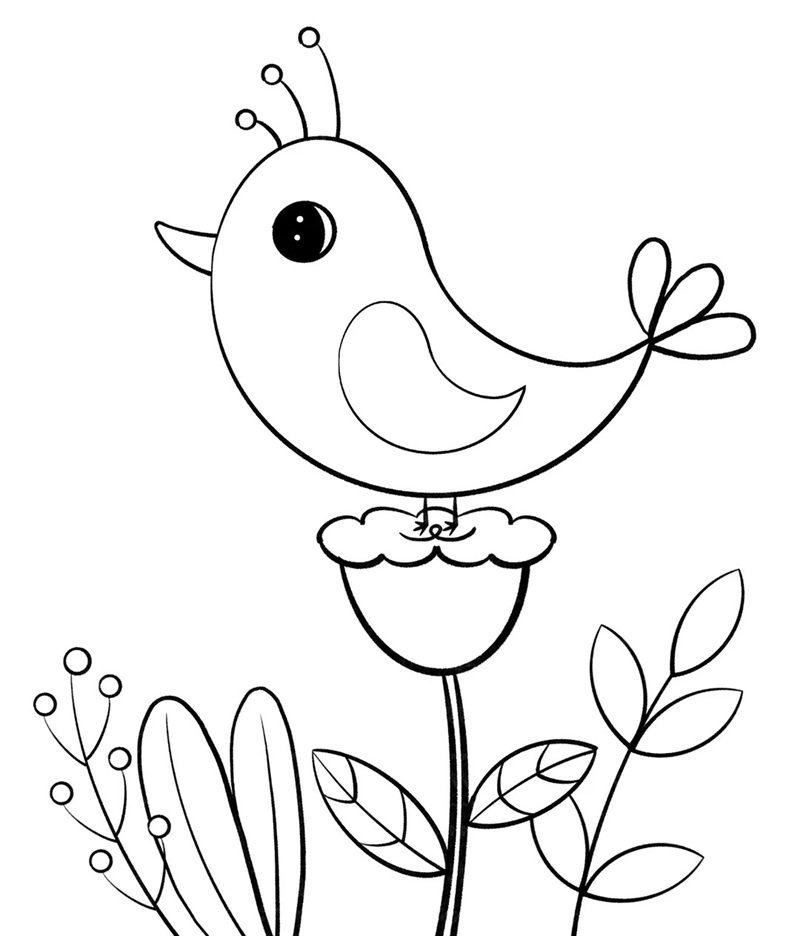 tô màu con chim 25