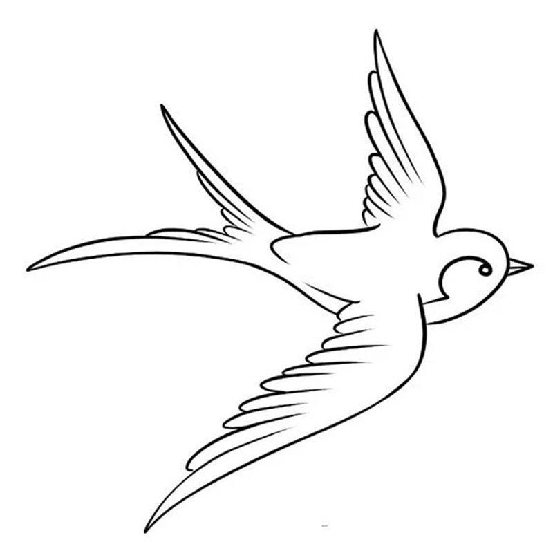 tô màu con chim 27