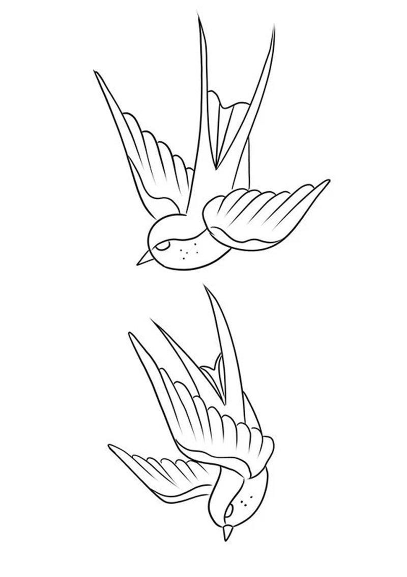 tô màu con chim 29