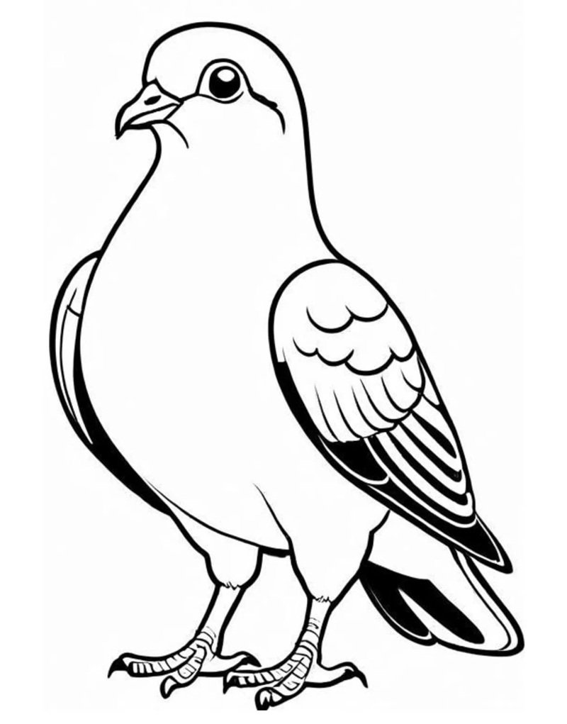 tô màu con chim 35