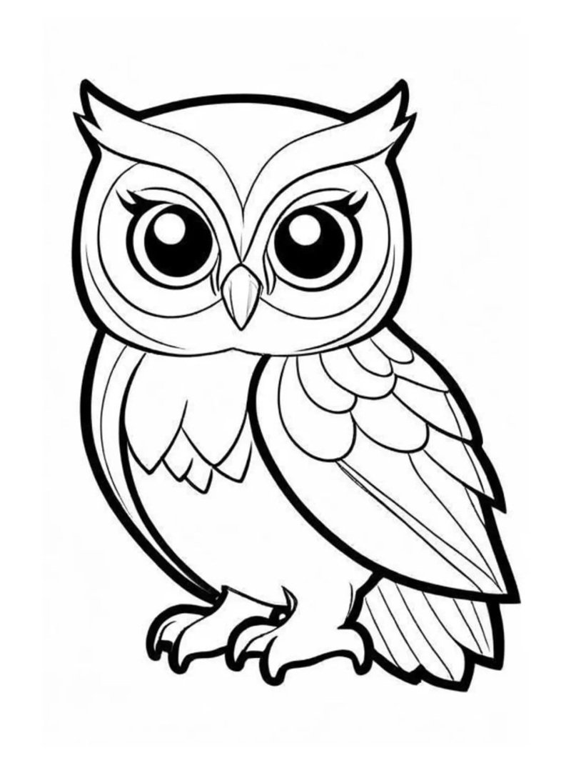 tô màu con chim 36