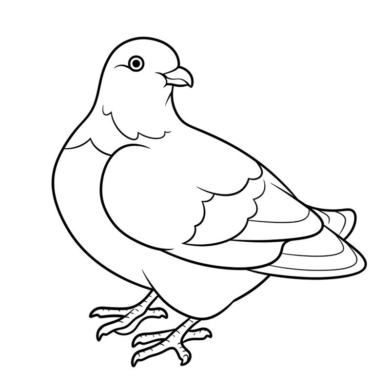 tô màu con chim 38