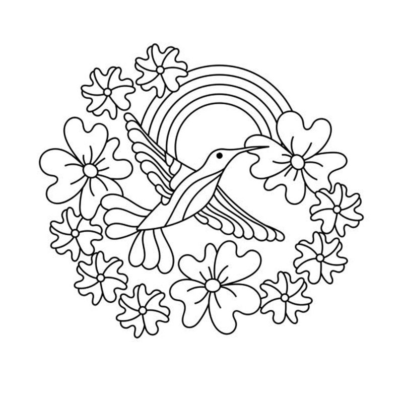 tô màu con chim 4