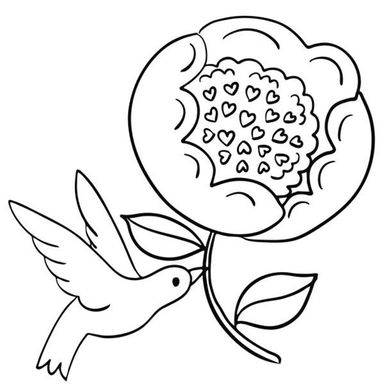 bird flower heads black and white line art illustration