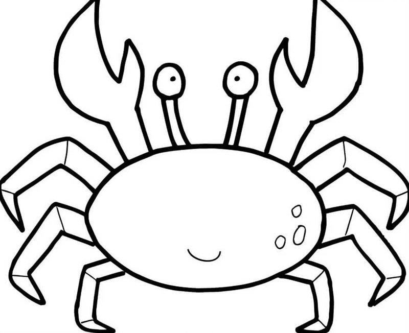 tô màu con cua 10