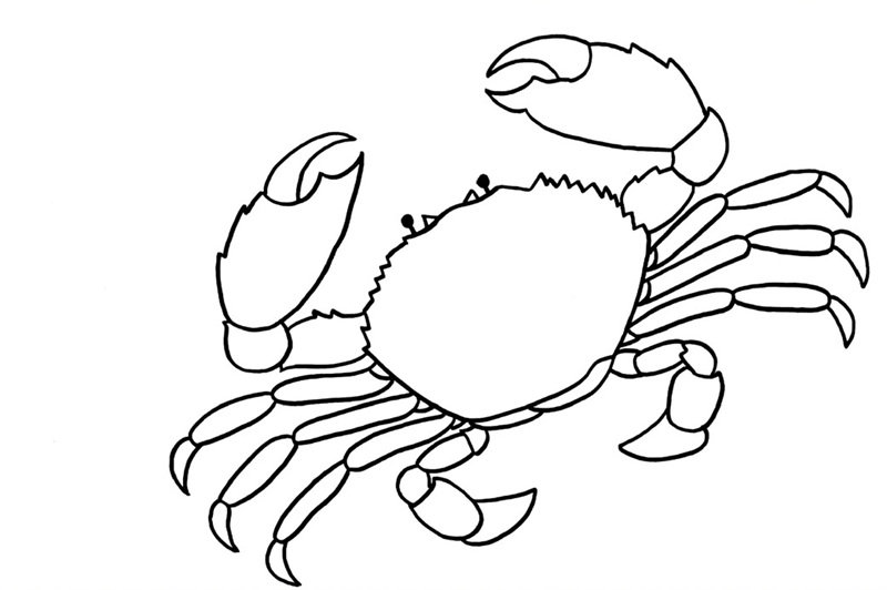 tô màu con cua 38