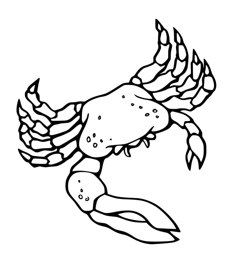 tô màu con cua 7