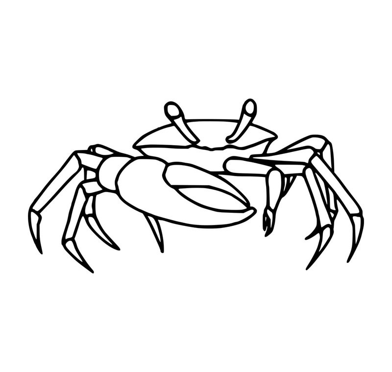 tô màu con cua 8