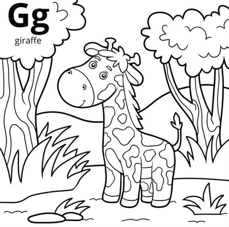 Coloring book for children, colorless alphabet. Letter G, giraffe