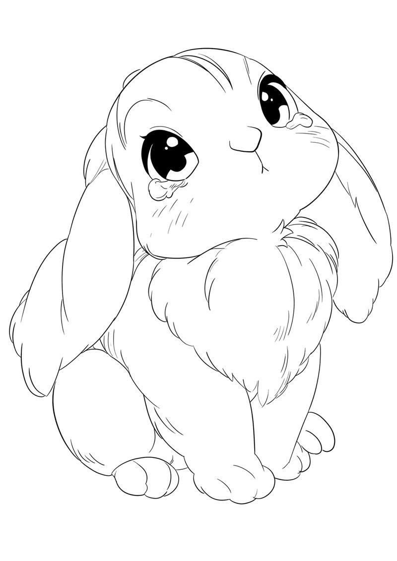 tô màu con thỏ 29