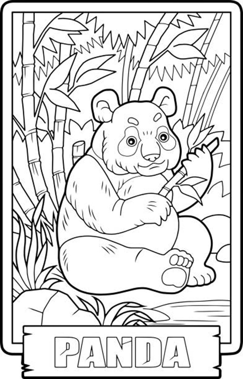 tô màu gấu trúc 23