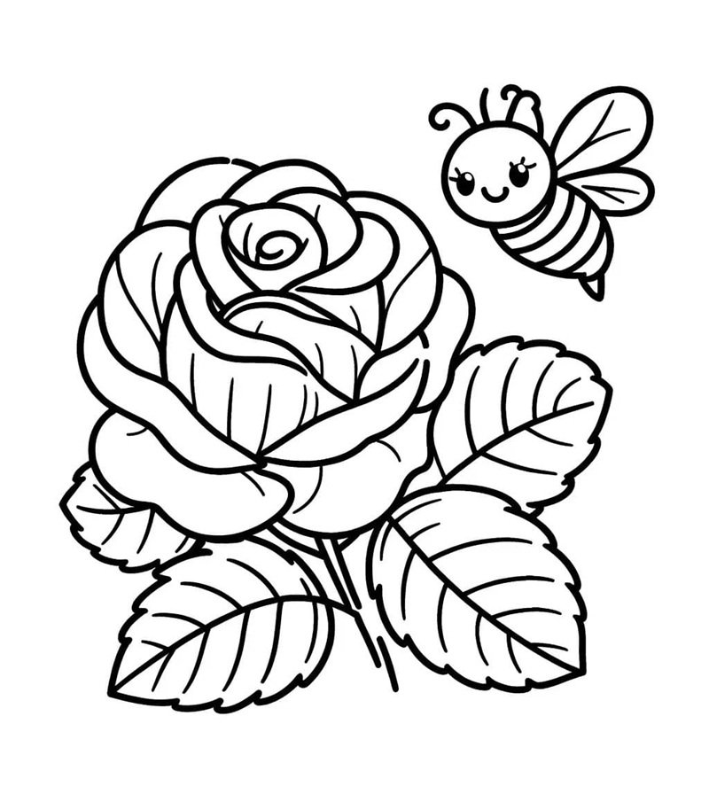 tô màu hoa hồng 11