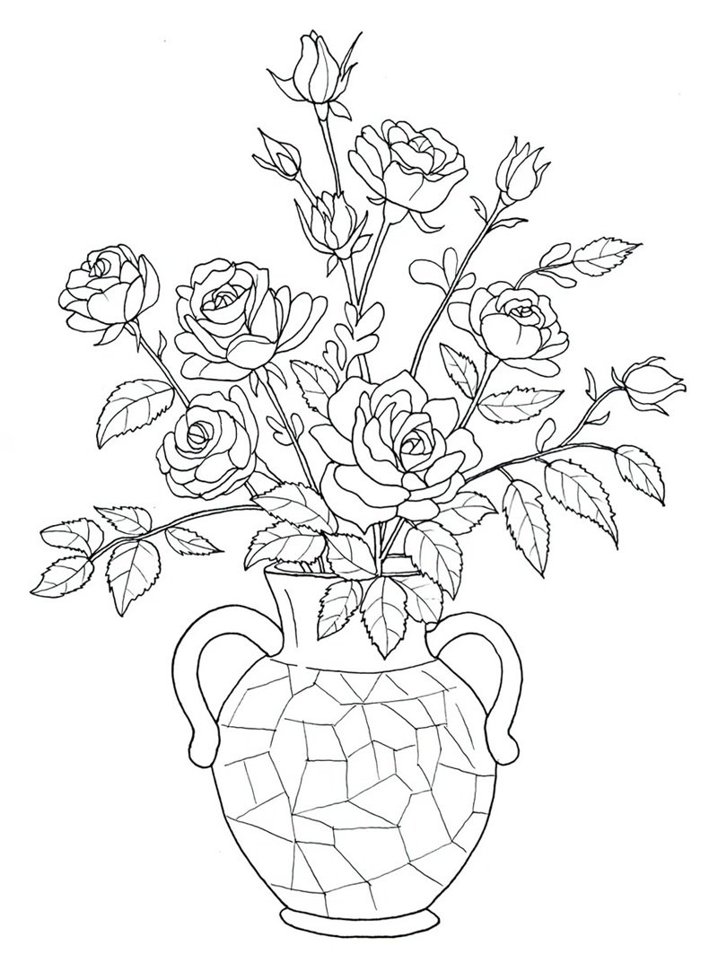 tô màu hoa hồng 20