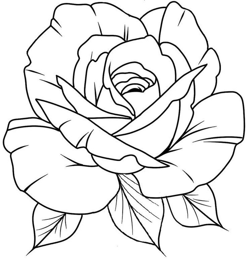 tô màu hoa hồng 29