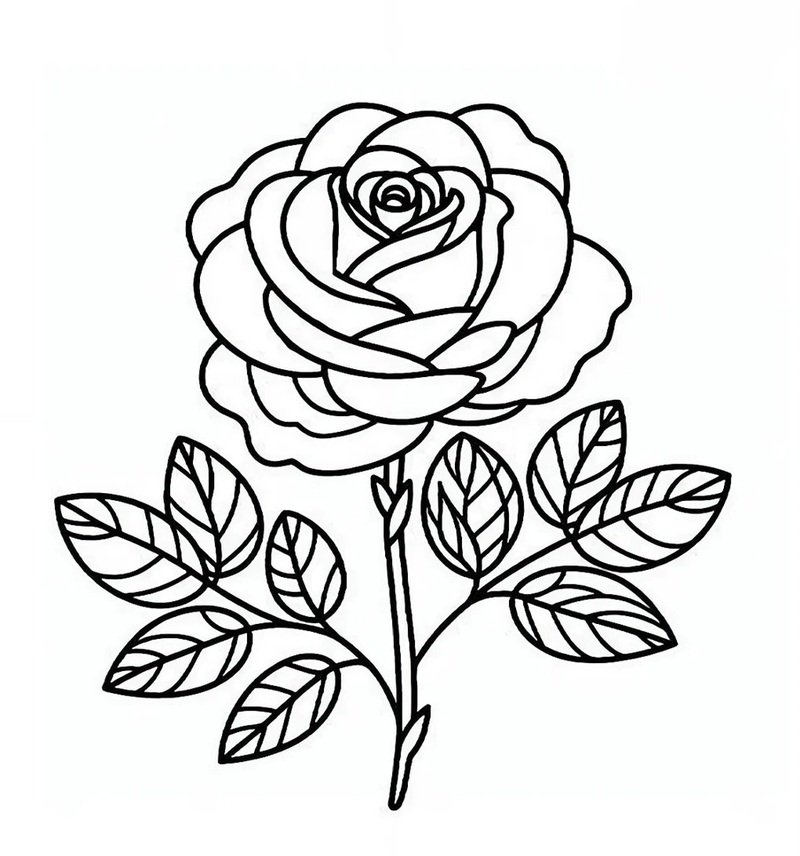 tô màu hoa hồng 3
