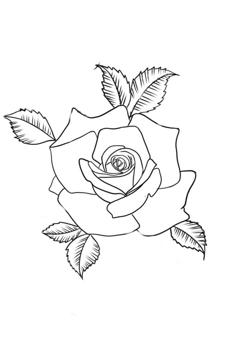 tô màu hoa hồng 30