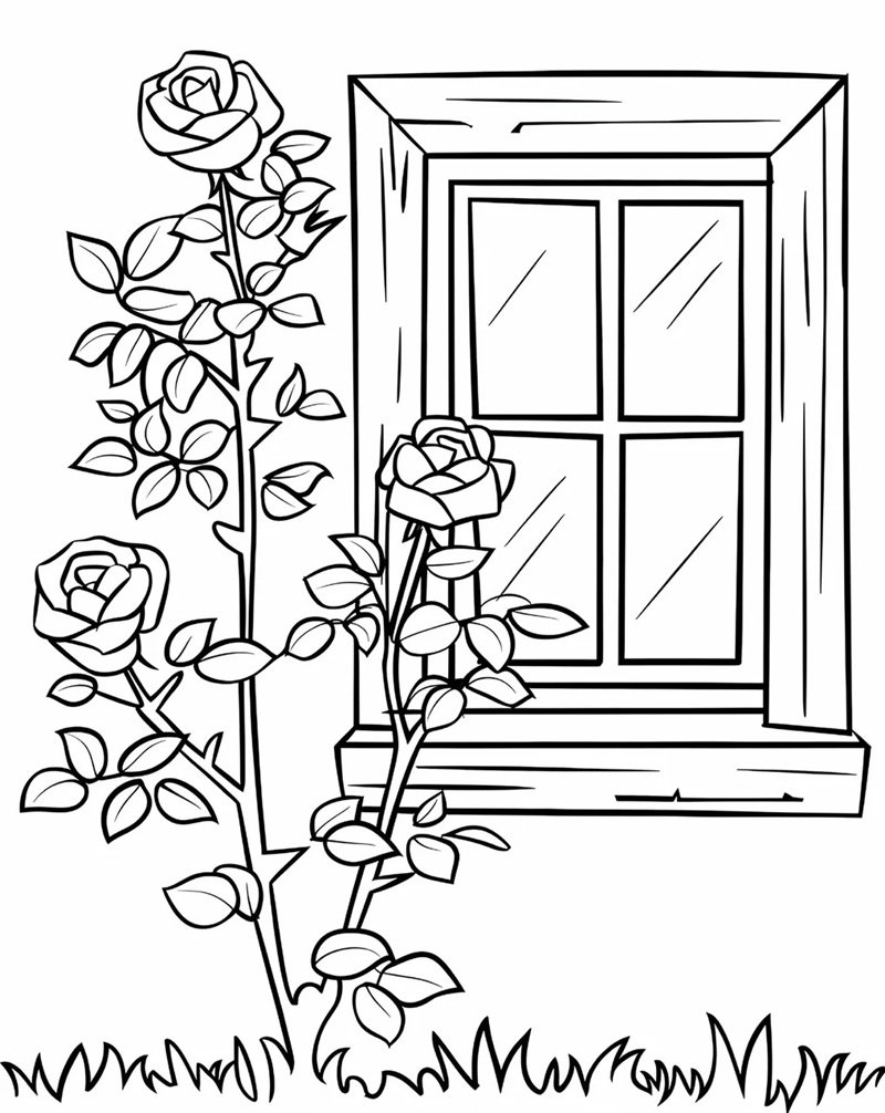 tô màu hoa hồng 36