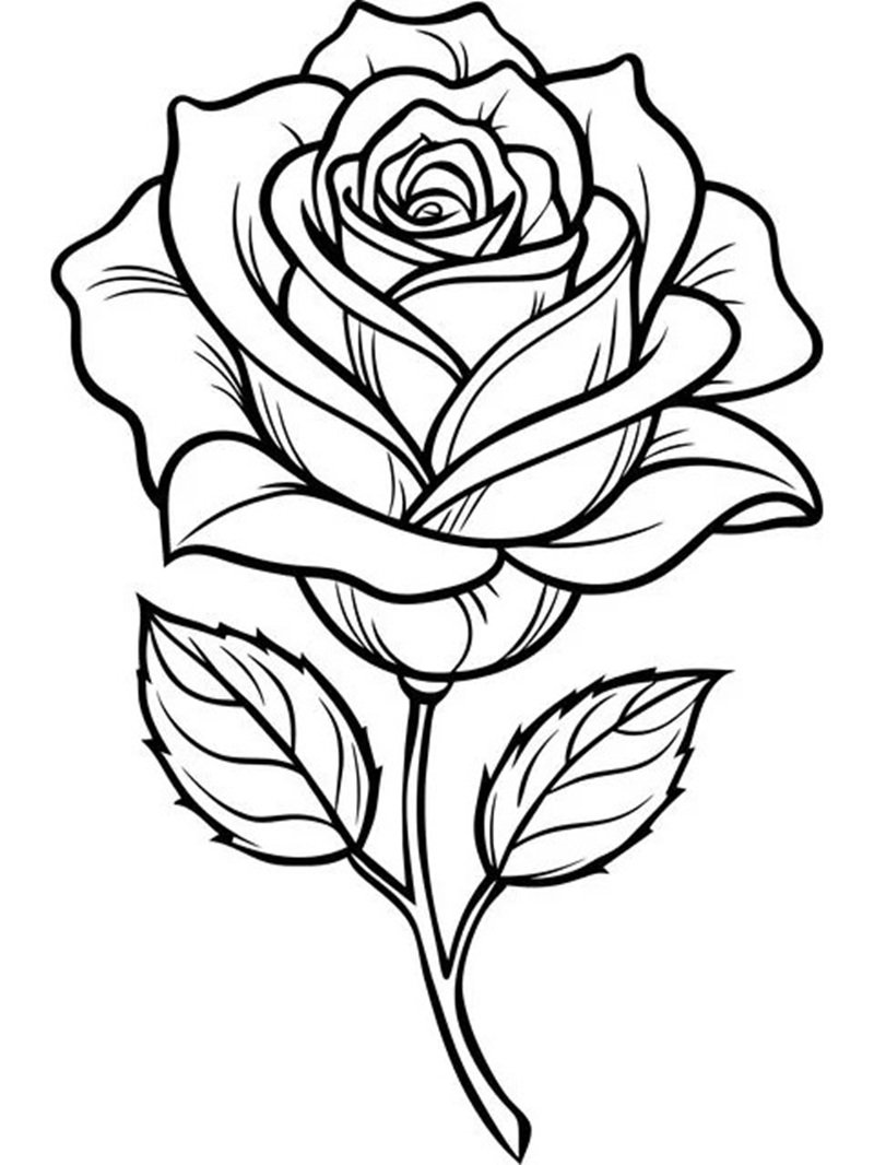 tô màu hoa hồng 40