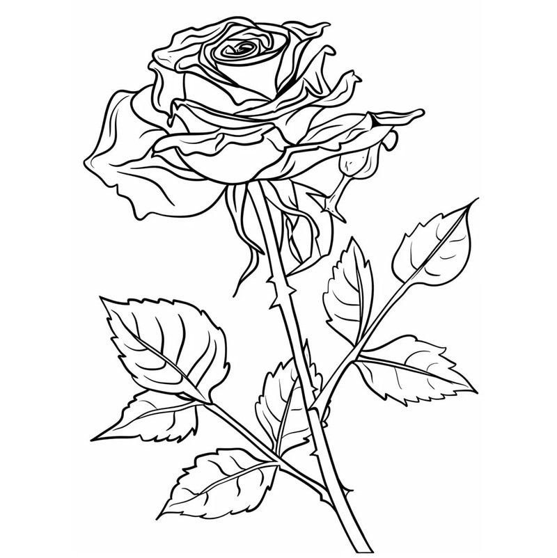 tô màu hoa hồng 9