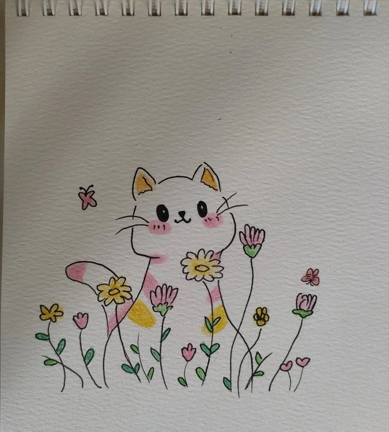 Hình vẽ cute đáng yêu đầy màu sắc