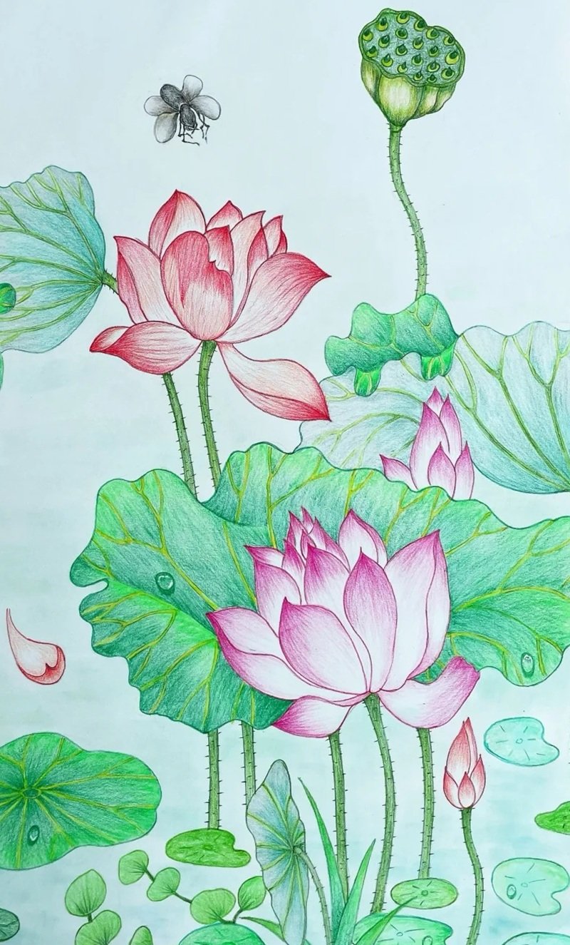 Tranh vẽ hoa sen trong khung cảnh thiên nhiên yên bình
